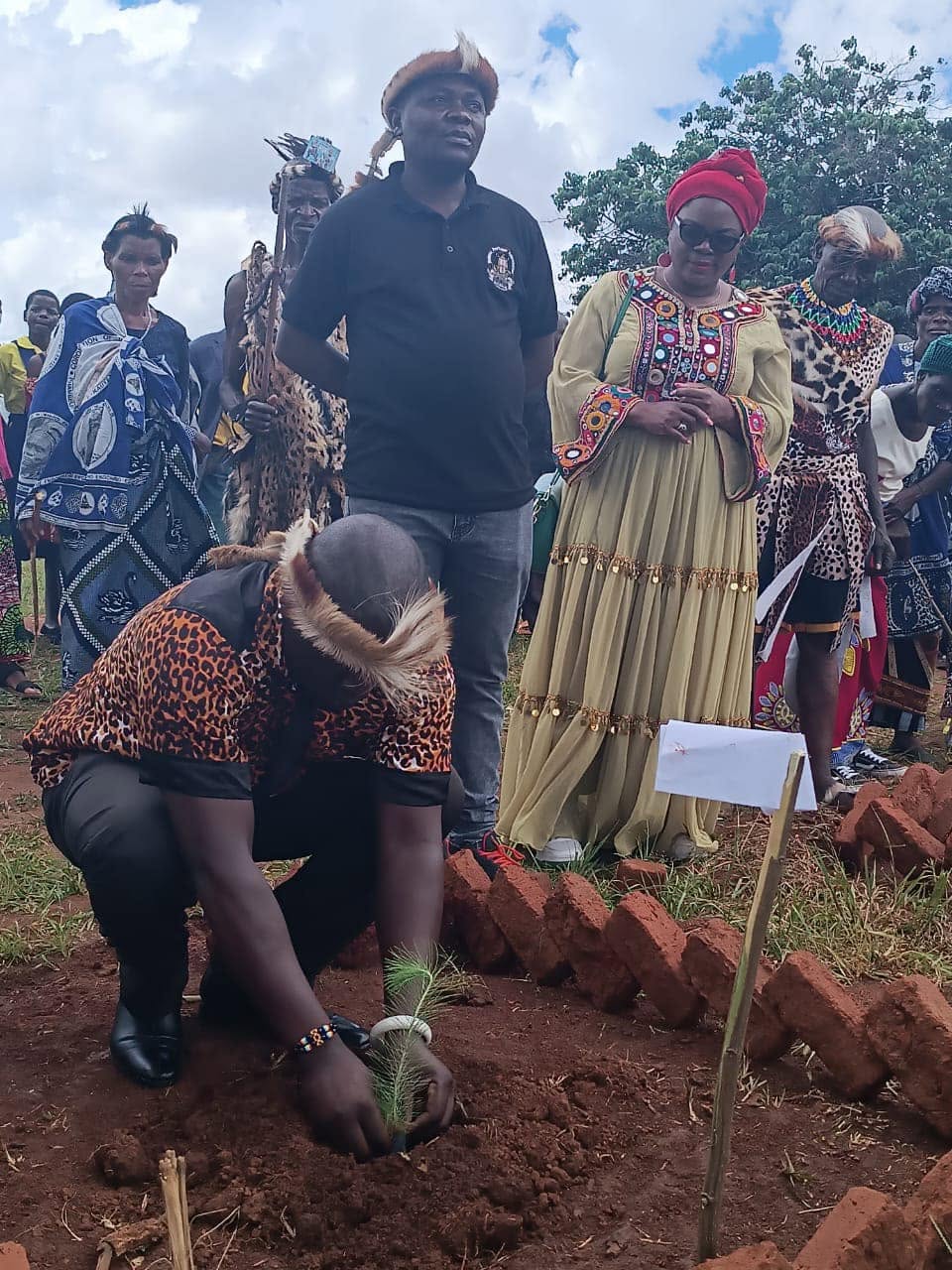 Tree planting at Hoho Primary School